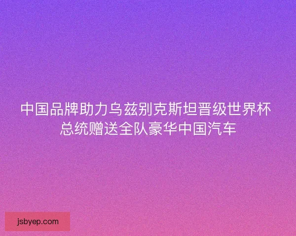 中国品牌助力乌兹别克斯坦晋级世界杯 总统赠送全队豪华中国汽车